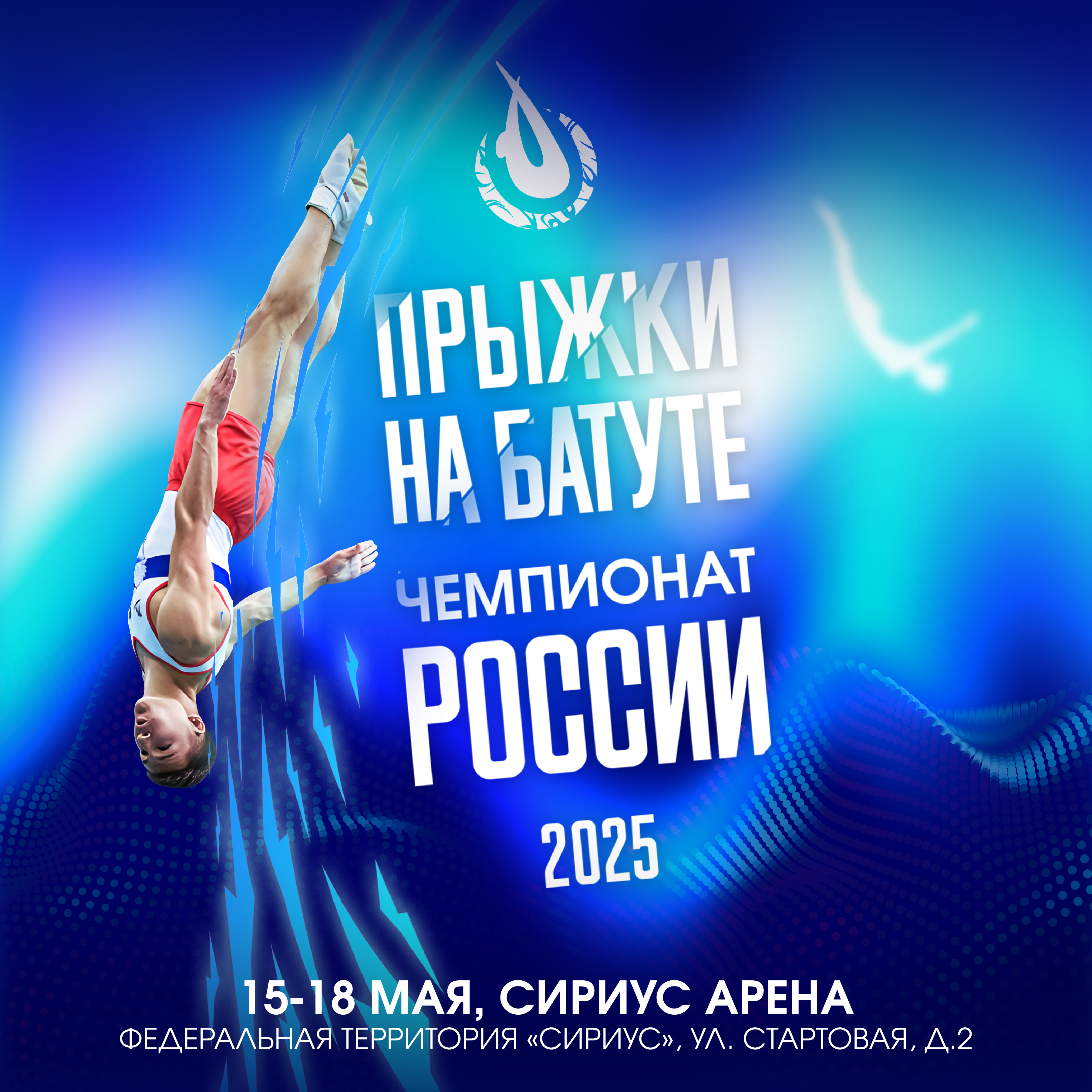 ЧП прыжки на батуте