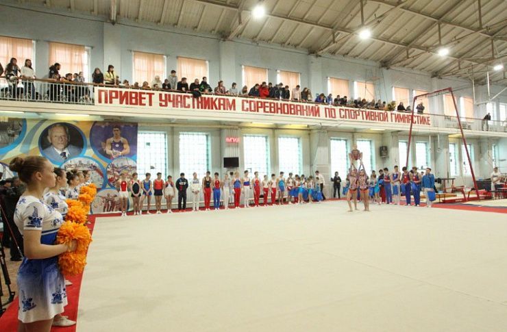 На челябинский ковер выйдут титулованные гимнасты